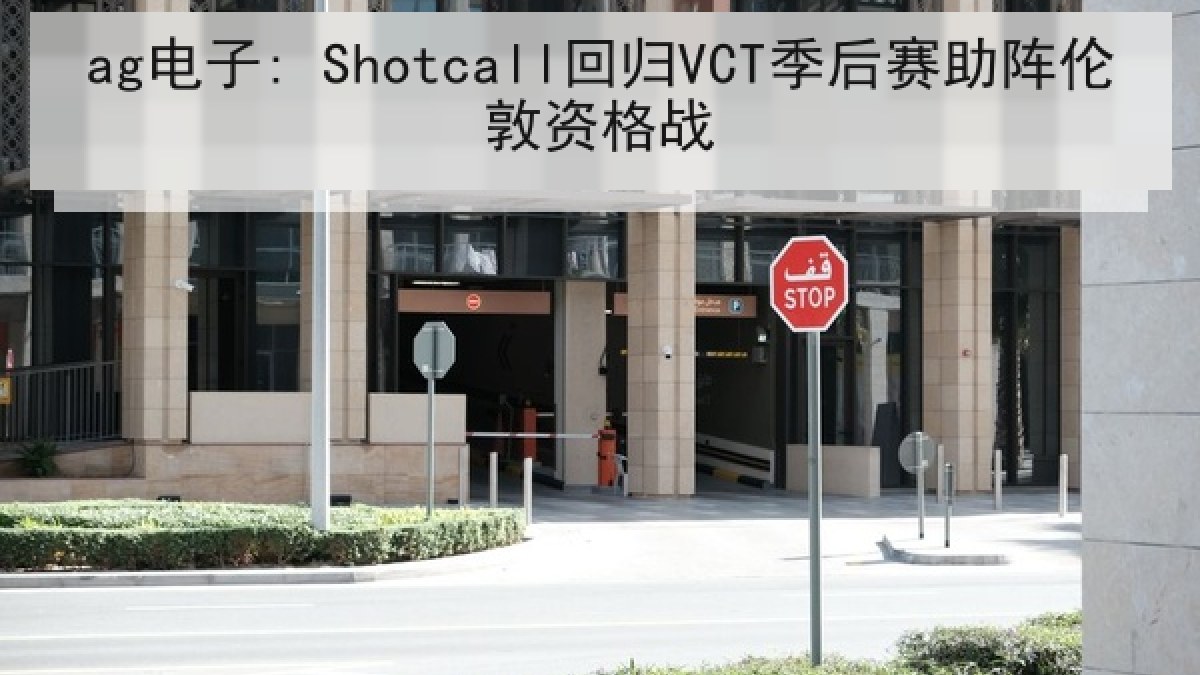 ag电子: Shotcall回归VCT季后赛助阵伦敦资格战