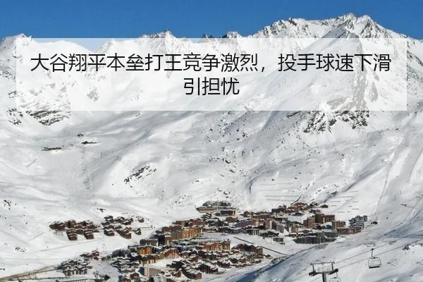 da-gu-xiang-ping-ben-lei-da-wang-jing-zheng-ji-lie-tou-shou-qiu-su-xia-hua-yin-dan-you-2-442.jpg